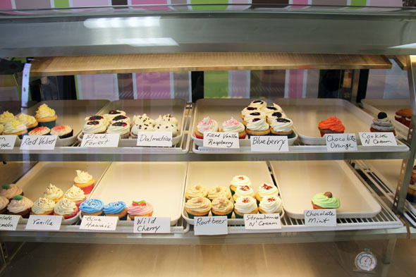 Cupcake Outlet Browns Line