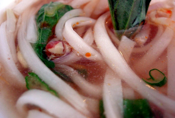 Pho Noodle Soup
