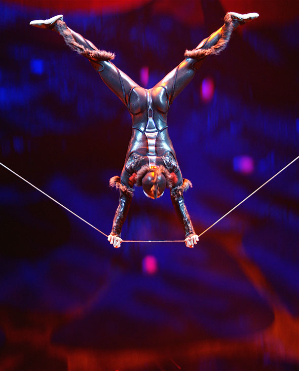 Cirque du Soleil's Ovo in Toronto
