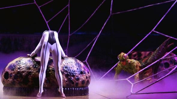 Cirque du Soleil's Ovo in Toronto