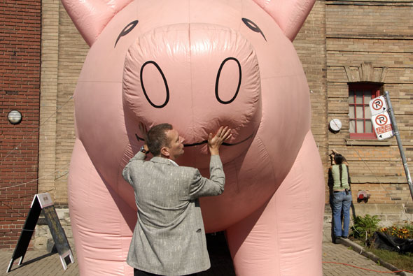 inflated piggy/