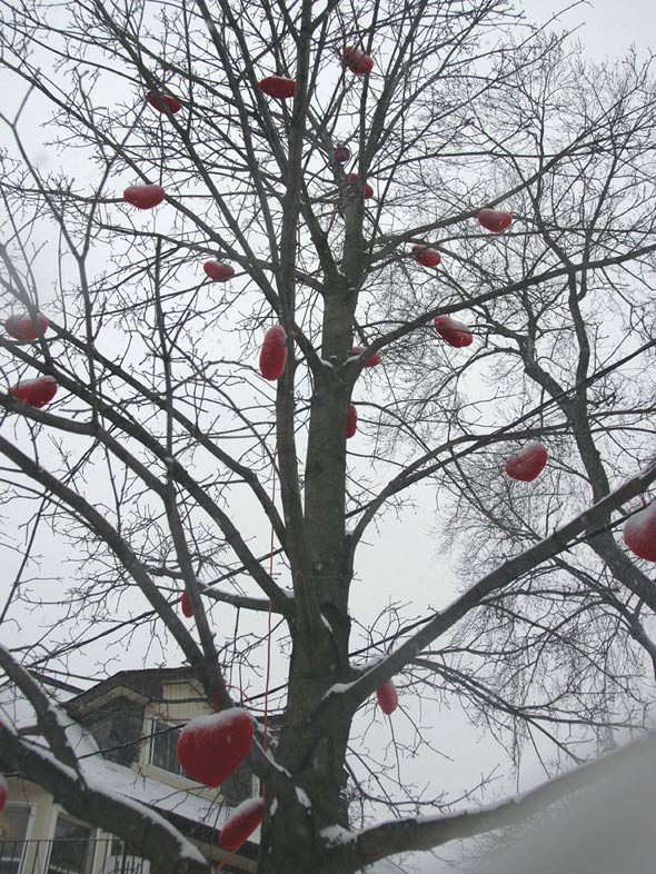 winter hearts in tree