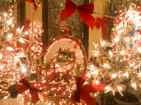 Toronto Christmas Lights