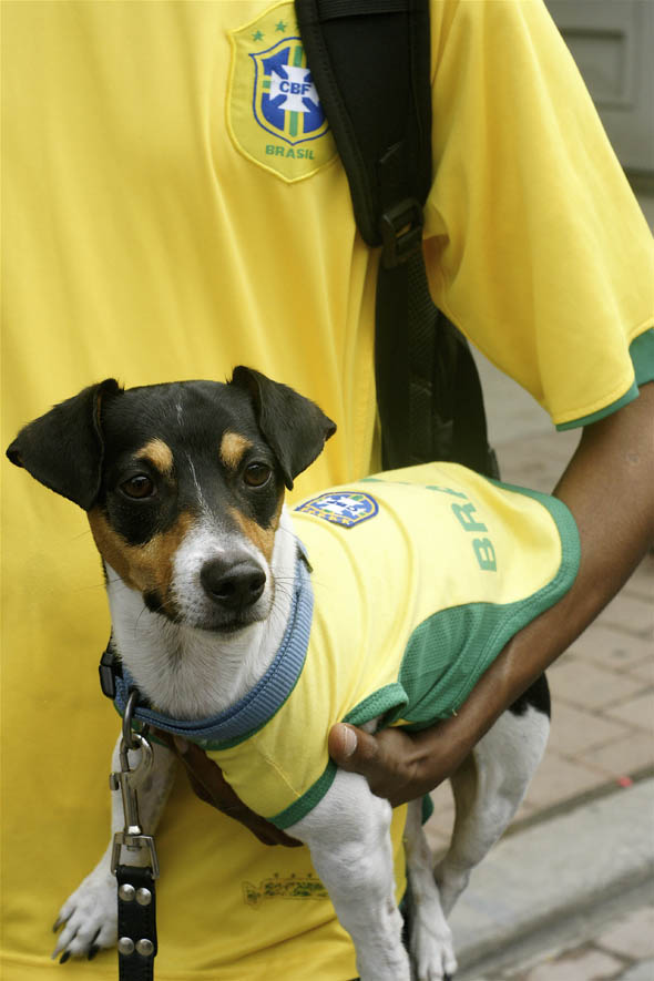 Woofstock FIFA 2010 World Cup