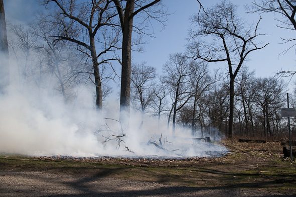 High Park Controlled Burn