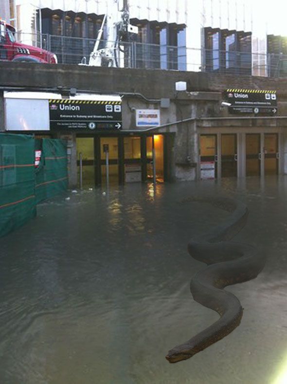 Union Station Flood Meme