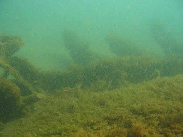 wreck of the alexandria underwater