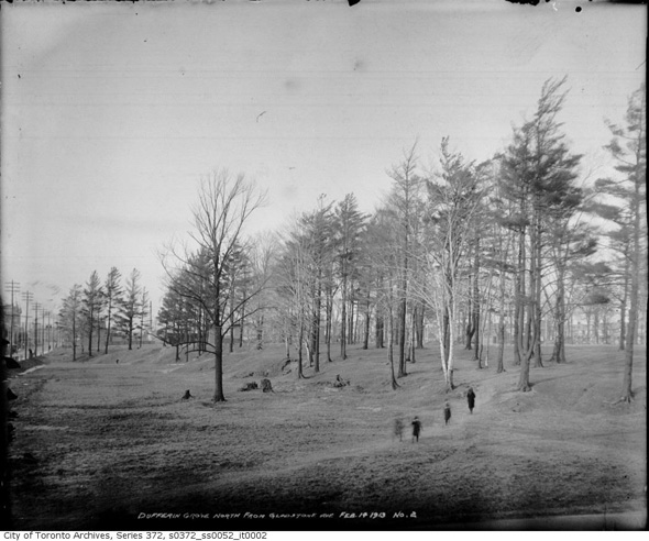 201321-dufferin-grove-park-1913-ed2.jpg