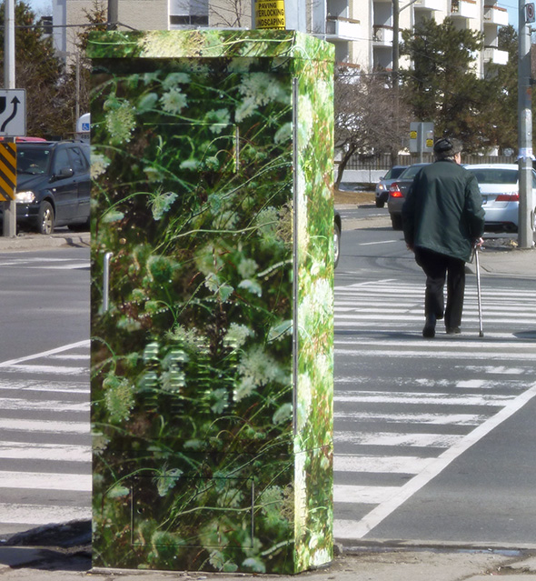 Toronto graffiti wrap traffic box