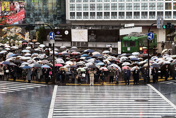 tokyo shibuya crossing