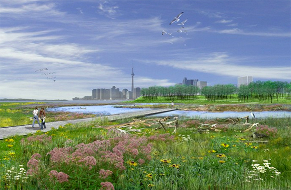 Toronto 2050